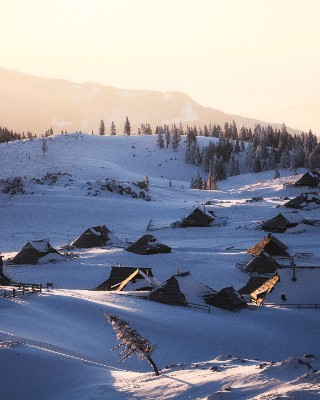 Velika Planina