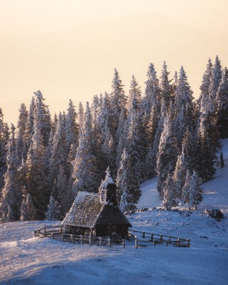 Velika Planina