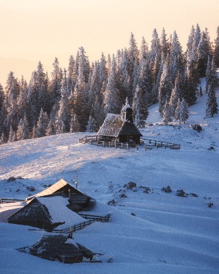 Velika Planina