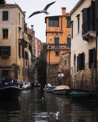 Venice